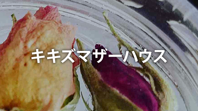 WEBサイトを公開しました。